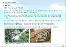 [도시계획사] 전원도시의 사례 - 최초의 전원도시 레치워스(Letchworth).pptx 10페이지