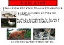 중국의 지역별 음식 특징과 중식매너.ppt 8페이지