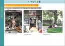 위락,여가의 길 탐방 (노년층을 중심으로) 40페이지