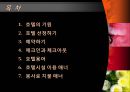 해외여행시 호텔시설이용 매너 {호텔의 기원, 호텔 선정하기, 예약하기, 체크인과 체크아웃, 호텔용어, 호텔시설 이용 매너, 봉사료 지불 매너}.ppt 2페이지