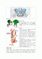 정형외과 골반질환손상 골반구조 간호과정 케이스 스터디 Case Study - 진단명: acetabulum Fx(비구골절) 주호소: Rt leg tingling sense, Rt leg pain 2페이지