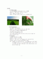 [미생물] 미생물의 종류와 종류별 특성 - 고등미생물(진핵미생물), 하등미생물(원핵미생물), 바이러스, 프리온 4페이지