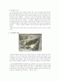 [답사, 조사 분석] 청계천 복원과 서울 도시환경의 관계 - 청계천 복원(淸溪川復元)의 영향과 평가 5페이지