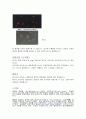 [생명의기원 레포트] 세균성 질환의 종류와 질병, 예방과 대책, 성병 (venereal disease)   7페이지