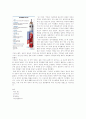 2010년 8월 5일 칠레 산호세 광산 붕괴 사고 2페이지