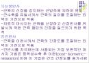 치료적 마사지에 관해서... 13페이지