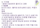 치료적 마사지에 관해서... 19페이지