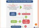 ACLS(Advanced Cardiovascular Life Support) [영어,영문].pptx 13페이지