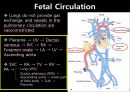 Persistent pulmonary hypertension of the newborn 신생아 지속성폐동맥고혈압 [영어,영문].pptx 4페이지