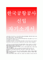 한국공항공사자소서자기소개서>한국공항공사 자소서,한국공항공사자기소개서 우리공사 인재상에 맞는 직원,새로운문제에 대해 기존에 없던 이전의방식으로 문제를 해결했던 경험,한국공항공사에 관한내용은무엇 1페이지
