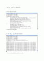 네트워크 보안 - (2)ICMP 스캔 결과 분석 2페이지