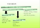 제9장 국제기업의 마케팅.ppt
 11페이지