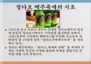 칭다오(청도/靑島) 국제 맥주 축제 - 칭다오 맥주 축제의 역사와 현황, 문제점, 개선방안.pptx 6페이지