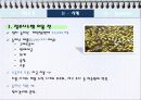 달러 재네럴(Dollar General) - 경영정보시스템(MIS).pptx 7페이지