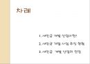 새만금 개발開發의 전망 2페이지