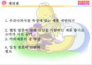 던킨도너츠 Dunkin` Donuts {기업 및 브랜드소개, 마케팅전략, 경쟁사 비교분석, 성공 및 차별화 요인, SWOT & 개선점}.pptx 37페이지