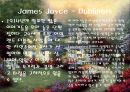 [영문학사] The Birth of the Modern Novel때의 주요 작가와 내용.pptx 13페이지