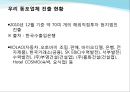 [세계문화 조사] 라오스(Laos) 국가 조사.ppt 20페이지
