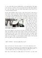 [20세기 디자인사 - 미술공예 운동] 20세기디자인사에 관해 - 아르누보양식에서 부터 기계미학 까지 12페이지