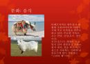역사와 문화 - 티베트의 중국귀속 배경, 중국 vs 티베트 대응 5페이지