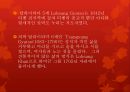 역사와 문화 - 티베트의 중국귀속 배경, 중국 vs 티베트 대응 26페이지