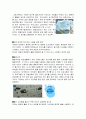 환경과 공해 - 환경에 관한 영화나 다큐에 대한 조사와 생각 2페이지