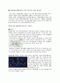 환경과 공해 - 환경에 관한 영화나 다큐에 대한 조사와 생각 10페이지