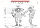 입체재단, 고급의복 설계 포트폴리오 - 드레스 제작 과정 3페이지