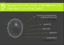 ★ 세상을 이해하는 새로운 방법 - 빅데이터 (빅데이타 /BIG DATA).pptx 4페이지