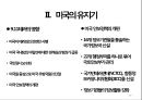 [국제 정치의 이해] 미국 (United States of America) - 미국의 건국 · 성장기 ·  황금기 · 유지기 .pptx 40페이지