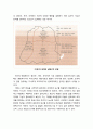 [심리치료psychotherapy 와 상담] 정신분석의 주요개념과 성격이론 - 정신분석의 기본가정, 마음의 지형학적 모델(무의식의 세계), 성적 추동(마음을 움직이는 원동력), 심리성적 발달단계, 성격의 삼원구조 이론,  10페이지