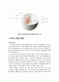 [심리치료와 상담] 분석심리학(分析心理學)의 주요개념과 성격이론 - 분석심리학의 기본과정, 분석심리학의 주요개념(의식, 개인 무의식, 집단 무의식, 원형의 5가지 유형), 성격의 유형과 발달 8페이지
