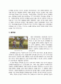 [영유아발달] 아동기 사회성발달(社會性發達)의 교육적 적용(사회인지, 교우관계, 공격성, 친사회적 행동) 5페이지