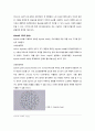 03주차.Alginate bead의 제조 (예비실험) 4페이지