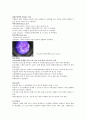 3.그람염색 및 단순염색 그람염색의 원리와 방법
 13페이지