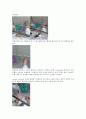 1.토양균 streaking 토양균의 형태와 배열
 16페이지