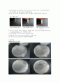 2.순수배양 미생물의  기본형태
 23페이지