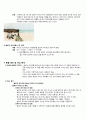 [일본 대중문화의 이해] Slow Life (슬로우 라이프/슬로 라이프) 4페이지