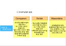 네덜란드의 물류 크러스터 .pptx 15페이지