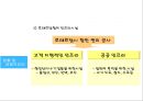 네덜란드의 물류 크러스터 .pptx 18페이지