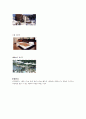 메리어트 호텔 & 리조트 (Marriott Hotels & Resorts) 18페이지