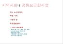 [지역사회 복지론] 지역사회 조직의 개념, 목적, 요소 및 과정 이해 14페이지