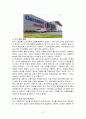 서브웨이(Subway)와 까르푸(Carrefour)의 글로벌 경영 성공 및 실패사례 8페이지