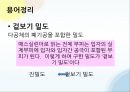 밀도 및 비중 측정.pptx 7페이지