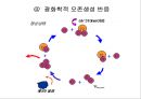 제4장 가스상 오염물질 & 제5장 기타 대기오염물질 & 제6장 악취.ppt 36페이지