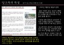 [현대의 가족] 가족의 새로운 발견.pptx 13페이지