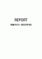 페플라우(Hildegard E. Peplau) 대인관계 이론 1페이지