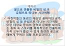 이벤트경영론 - 축제 이벤트, 서울동물원 봄 축제 15페이지
