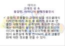 이벤트경영론 - 축제 이벤트, 서울동물원 봄 축제 17페이지