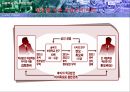 사립학교와 사학법 개정.ppt 15페이지